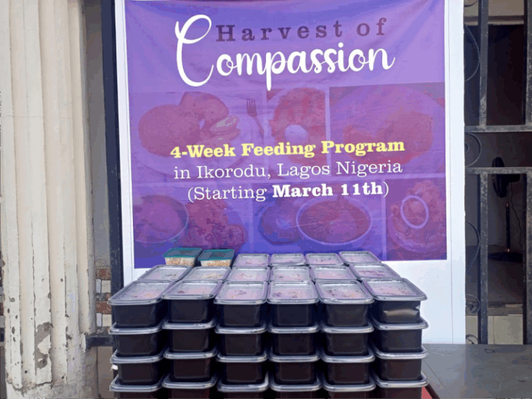 Street Feeding Project